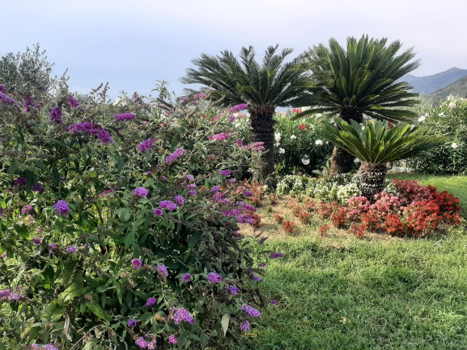 Terra Vitale Cava De' Tirreni Bagian luar foto